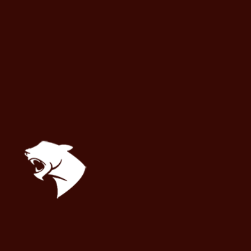 live oak alternative school logo